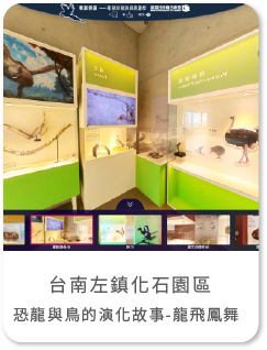 台南左鎮化石園區 恐龍與鳥的演化故事-龍飛鳳舞 360語音全景導覽